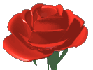 roseturn.gif